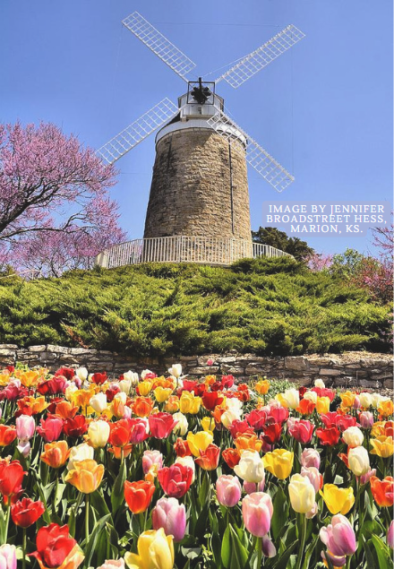 City of Wamego Page Image
